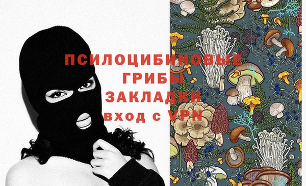 a pvp Кулебаки